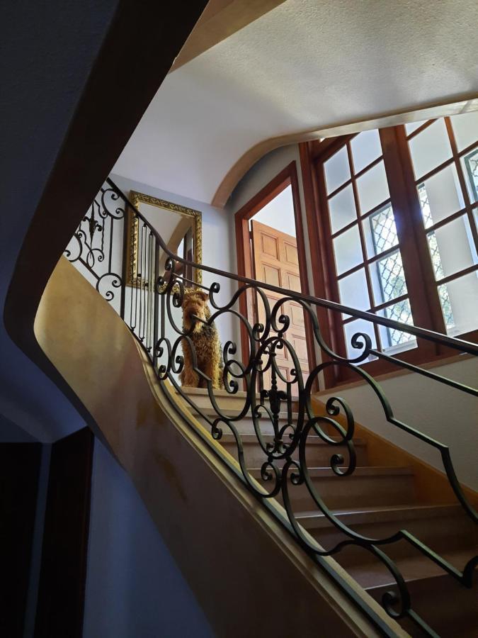 Le Clos Des Soyeux Saint-Victor-sur-Rhins Exteriér fotografie