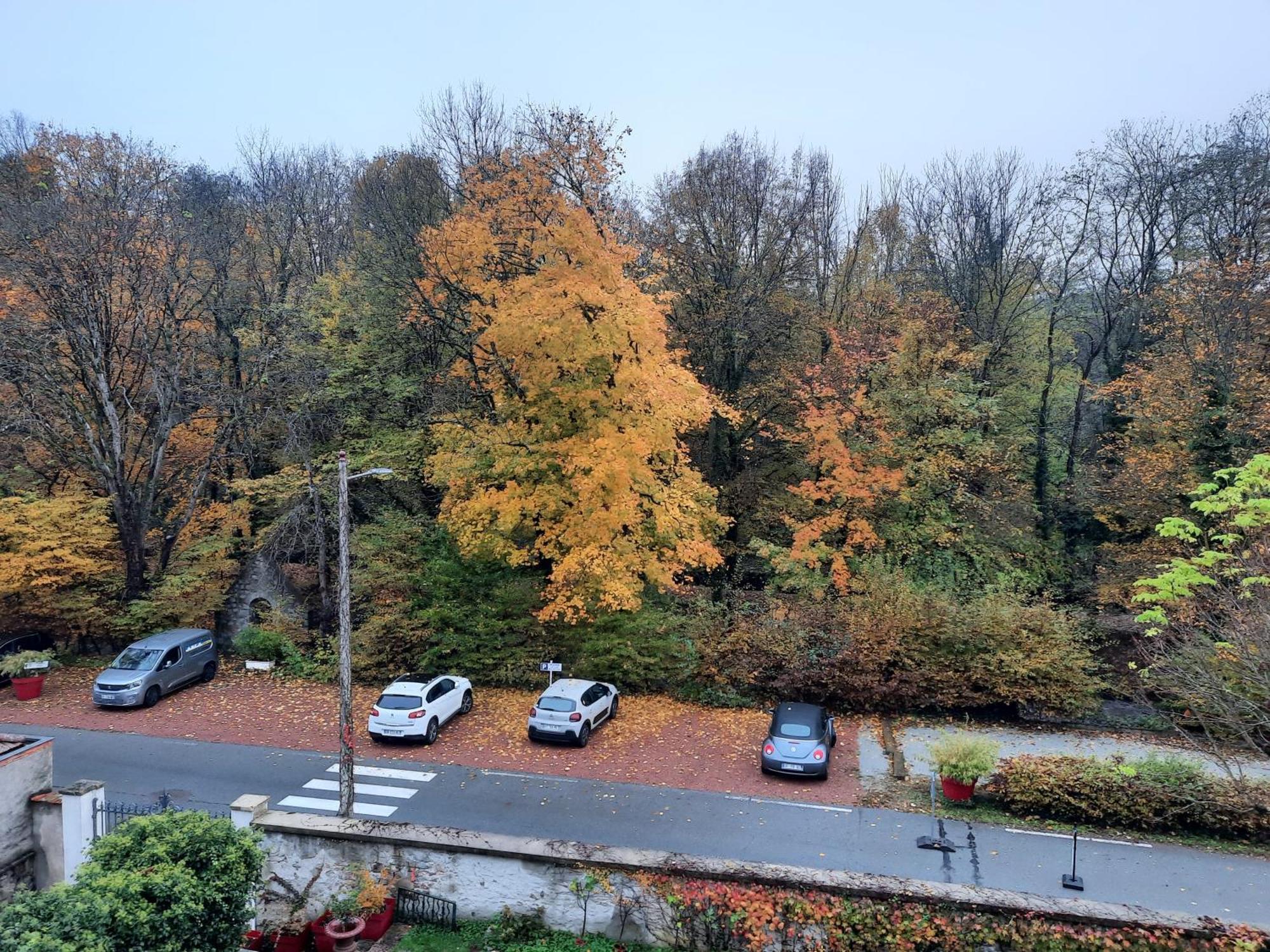 Le Clos Des Soyeux Saint-Victor-sur-Rhins Exteriér fotografie